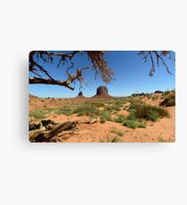 Monument Valley Canvas Print
