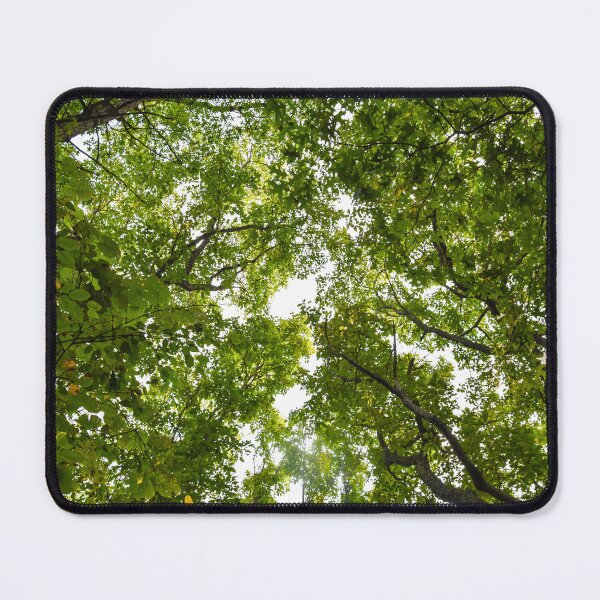 Item preview, Tree Tops in Summer designed and sold by sjohnson70.