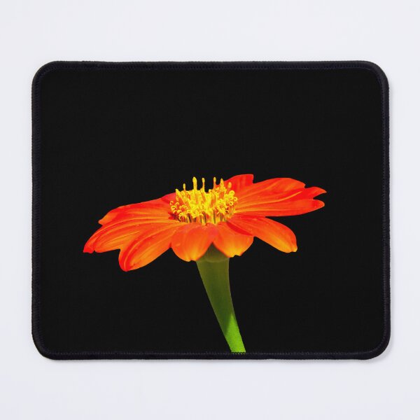 Item preview, Orange Flower designed and sold by Thavi.