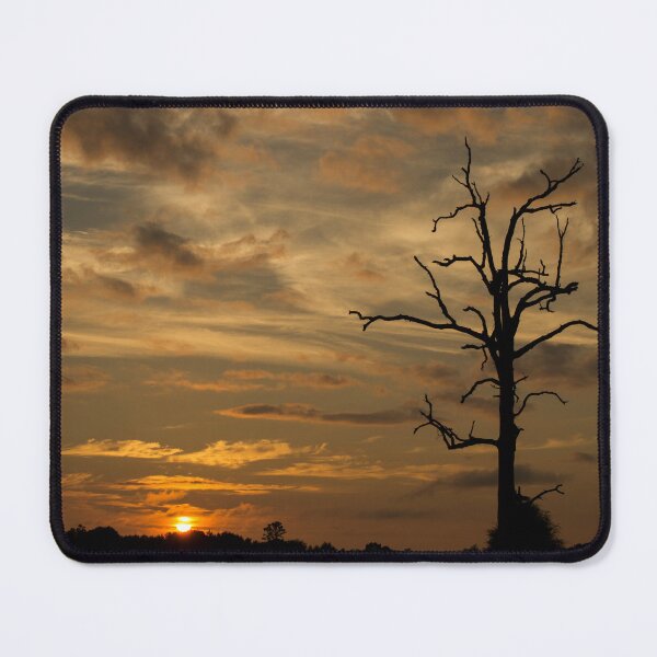 Item preview, Sunset : Peach Glow designed and sold by Susan Nixon.