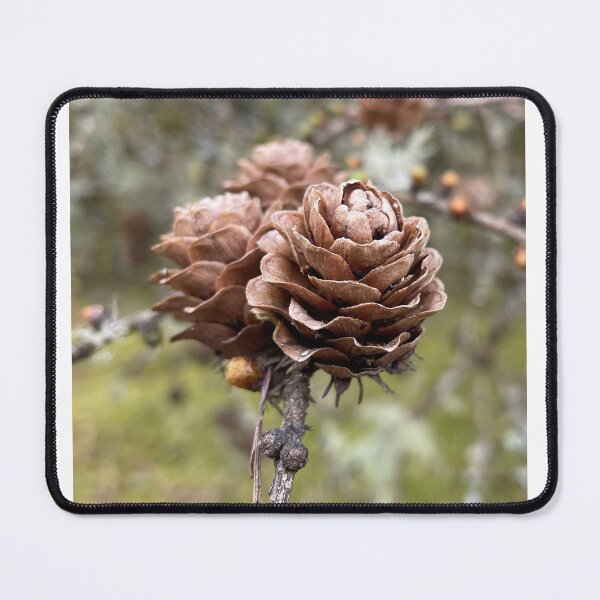 Item preview, Pine cones designed and sold by hazel16.