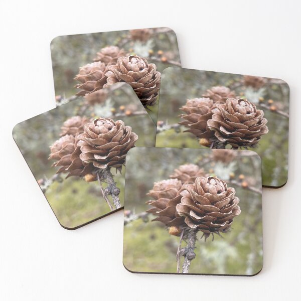 Item preview, Pine cones designed and sold by hazel16.