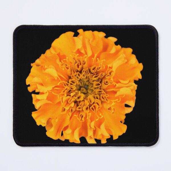 Item preview, Orange Marigold Flower designed and sold by Thavi.