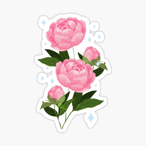 Pretty Peonies Sticker