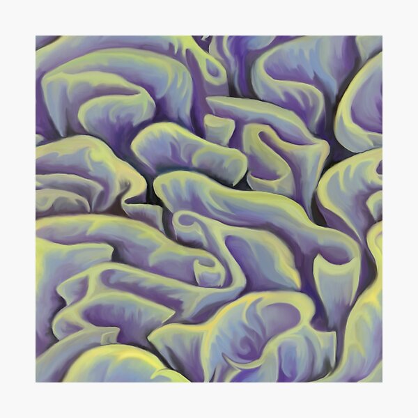Green and Purple Coral Photographic Print