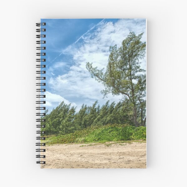 Item preview, Windswept Beach designed and sold by John Bailey.