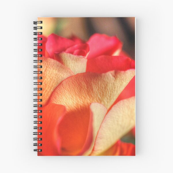 Item preview, Raspberry Vanilla Open Spring Rose  designed and sold by OBTImaging.
