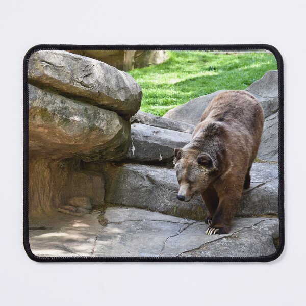 Item preview, Beautiful Grizzly Bear designed and sold by sjohnson70.