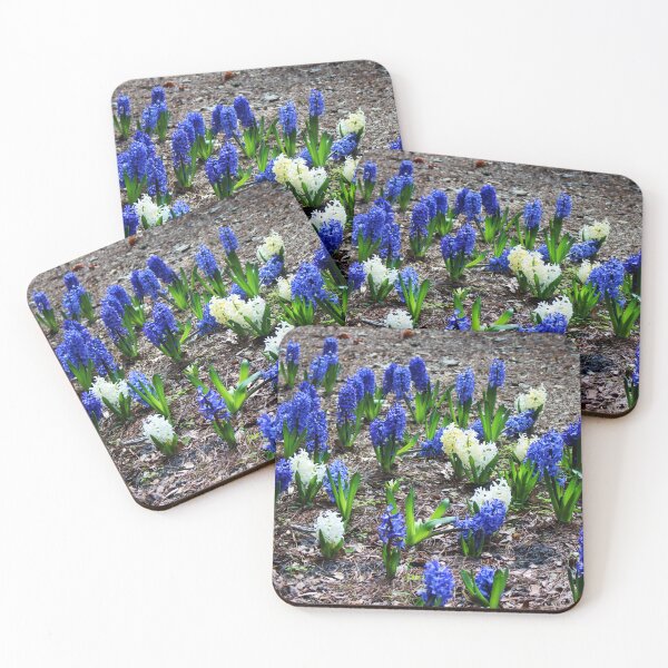 Item preview, Dark Blue And White Hyacinths designed and sold by Cynthia48.
