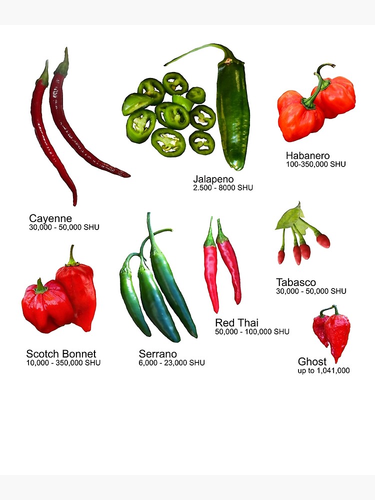 Chile Pepper Scoville Scale, Scoville Chart