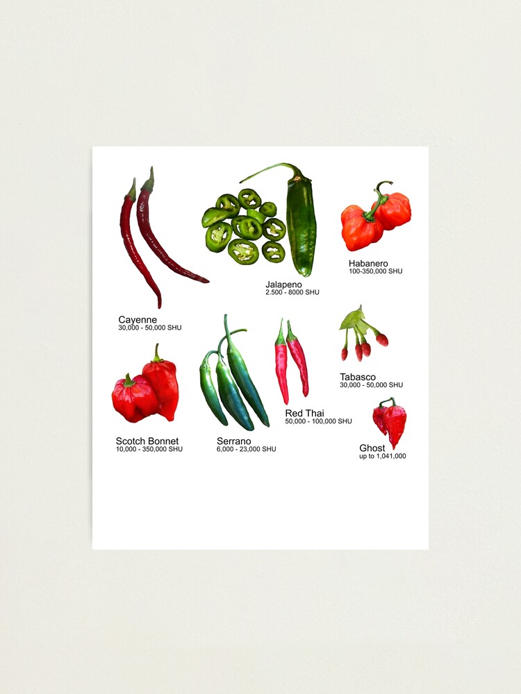 Chili Pepper Scoville Scale