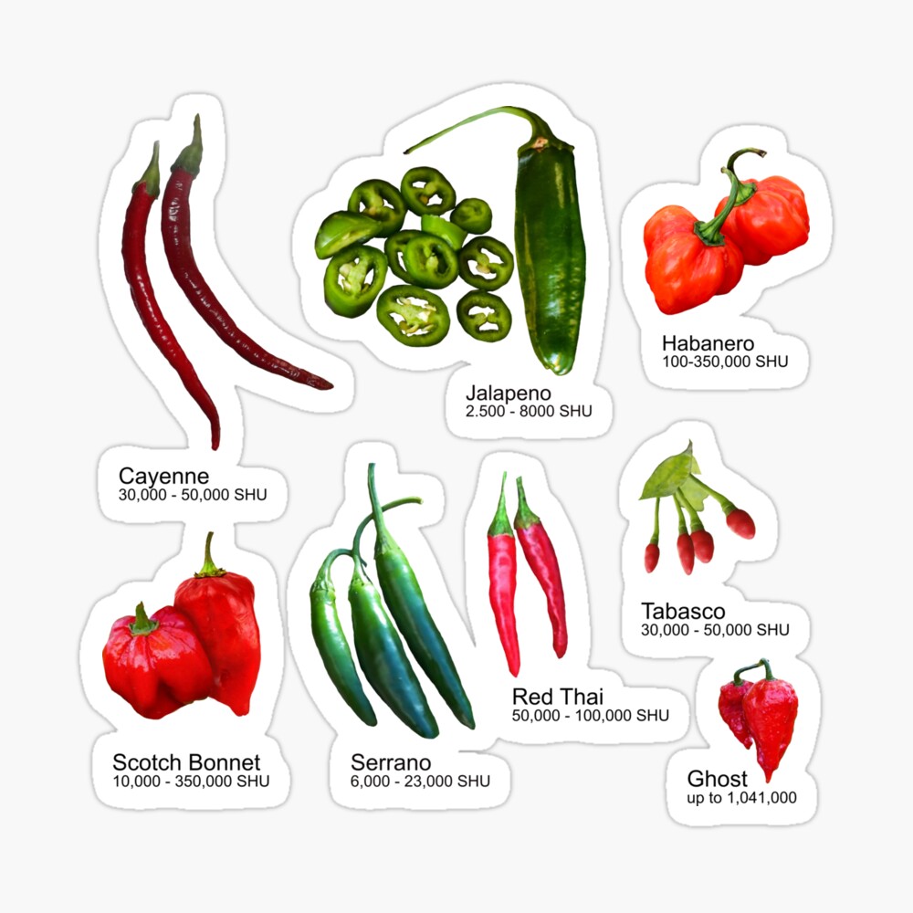 HOT CHILI PEPPERS, SCOVILLE SCALE - HERBS AND CHILLI" Magnet for by Keith Jackson | Redbubble