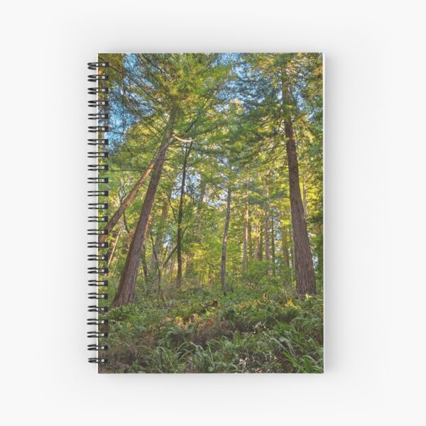 Item preview, Muir Woods designed and sold by Nicolas Raymond.