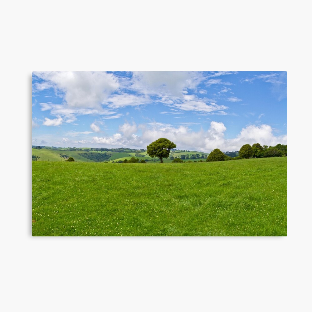 High Country Canvas Print