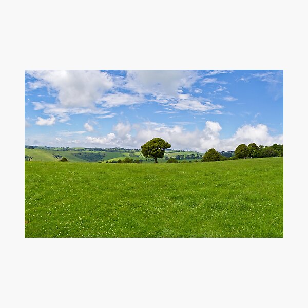 High Country Photographic Print
