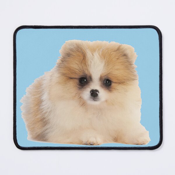 Item preview, Pomeranian Puppy Dog designed and sold by ScienceSource.
