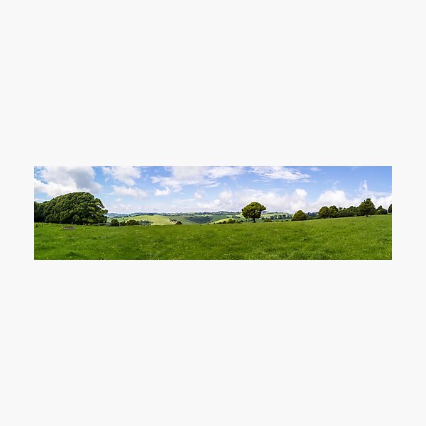 Green Fields Photographic Print