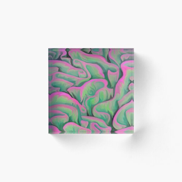 Pink and Green Coral Acrylic Block