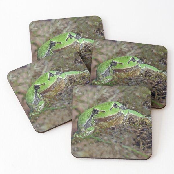 Item preview, r673/  A Kind Frog Palmé -Grenouille verte palmé  " simply life " to Okaio Créations - Olavia-Olao  designed and sold by o.okaïo.