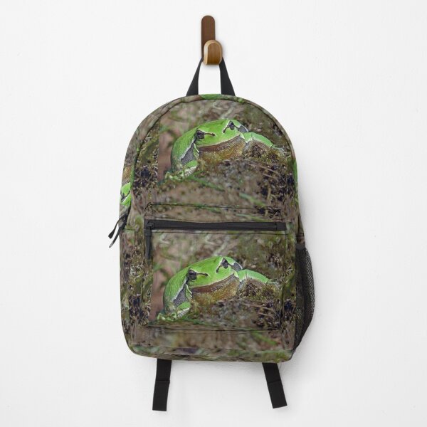 Item preview, r673/ A Kind Frog Palmé -Grenouille verte palmé " simply life " to Okaio Créations - Olavia-Olao designed and sold by o.okaïo.