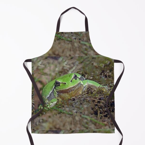 Item preview, r673/ A Kind Frog Palmé -Grenouille verte palmé " simply life " to Okaio Créations - Olavia-Olao designed and sold by o.okaïo.
