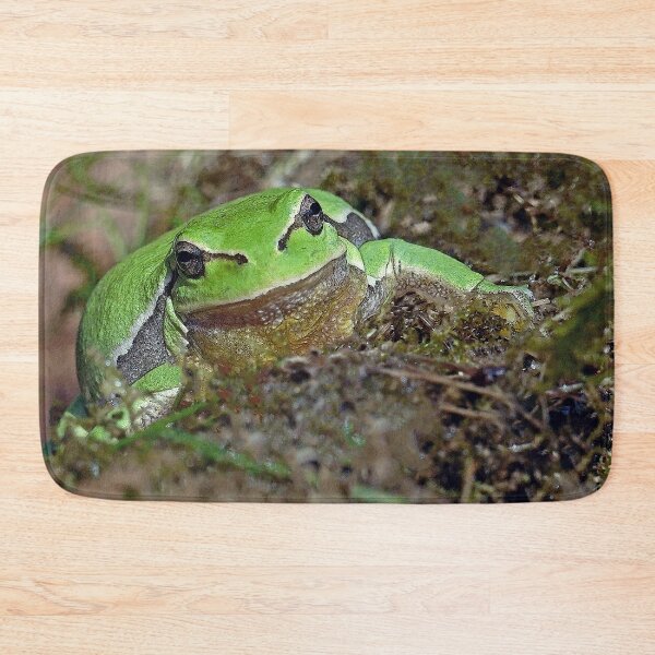 Item preview, r673/  A Kind Frog Palmé -Grenouille verte palmé  " simply life " to Okaio Créations - Olavia-Olao  designed and sold by o.okaïo.