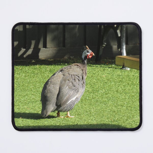 Item preview, Helmeted guineafowl designed and sold by greentiger1.
