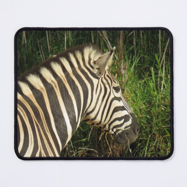 Item preview, Zebra in the sunshine designed and sold by greentiger1.