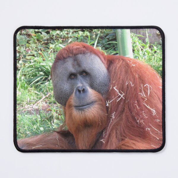 Item preview, Orangutan designed and sold by greentiger1.