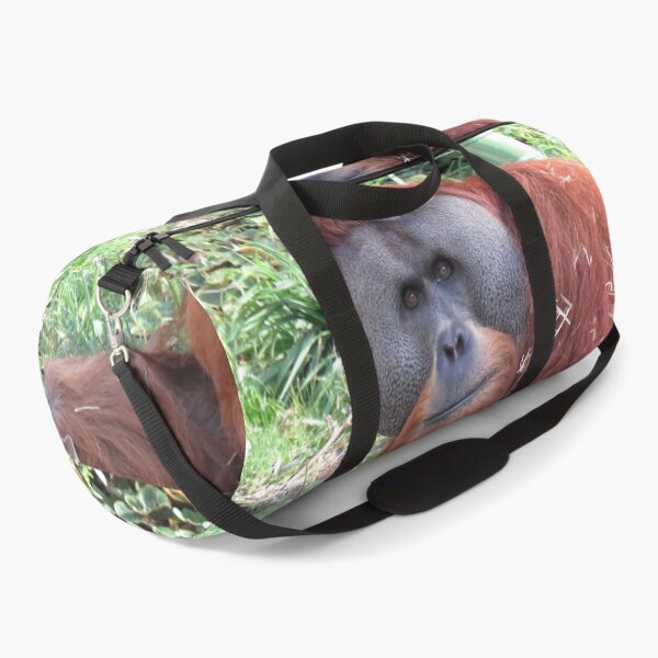 Item preview, Orangutan designed and sold by greentiger1.