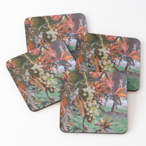Item preview, Flower, Spikes and Beautiful leaves designed and sold by VINU-DESIGNS.