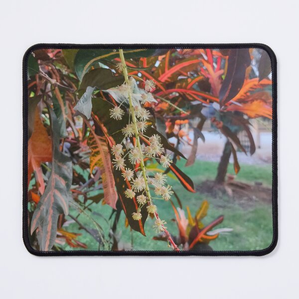 Item preview, Flower, Spikes and Beautiful leaves designed and sold by VINU-DESIGNS.