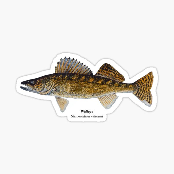 Fishing Girl Happy Hooker catfish walleye marlin bass boat Decal Sticker