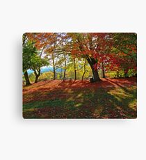 Autumn Shadows(2) Canvas Print