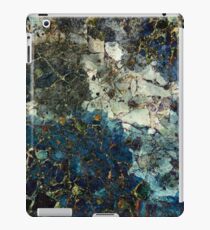 Water Is Life iPad Case/Skin