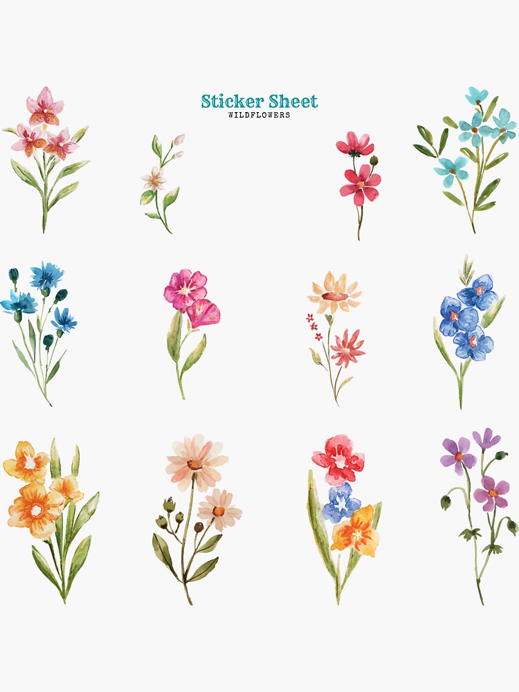Wildflower sticker sheet, Flower stickers, Planner stickers, Journal  stickers, Bullet journal