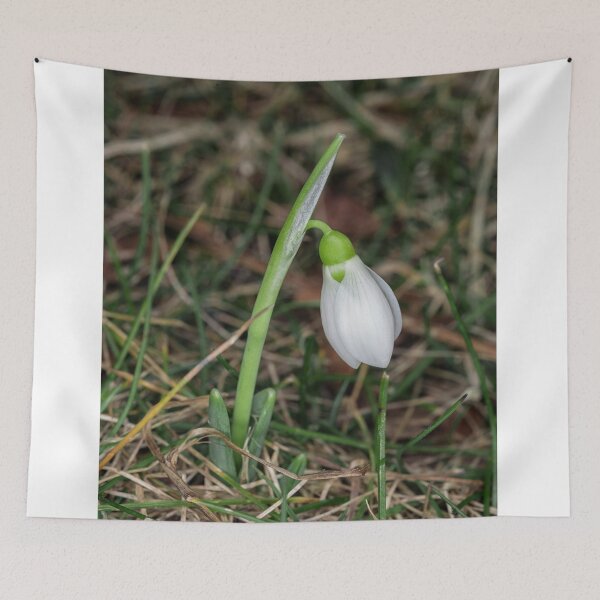 Item preview, Snowdrop designed and sold by Roger Porter Photography.