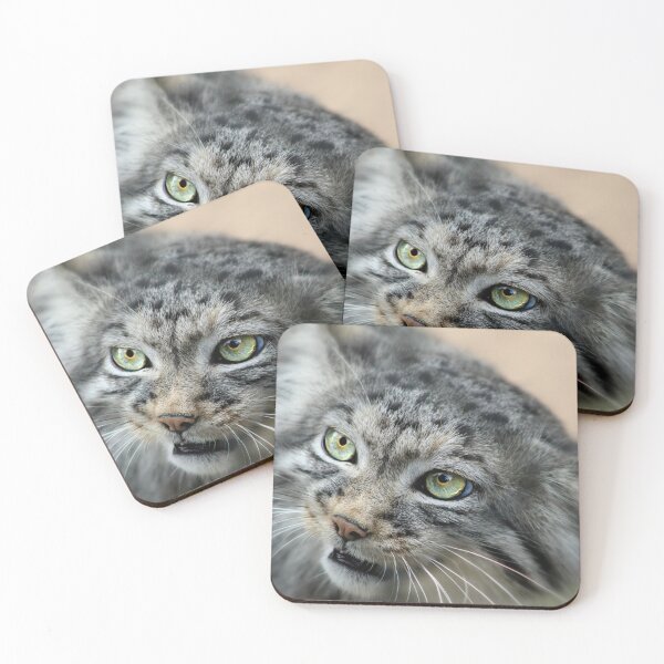 Item preview, Pallas Cat Profile designed and sold by Ladymoose.