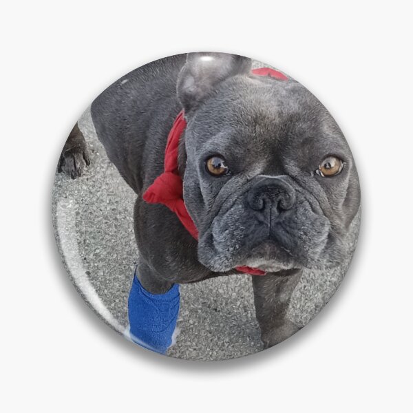 Artikelvorschau, Tierartz besuch gute besserung french bulldog entworfen und verkauft von vibeno1.