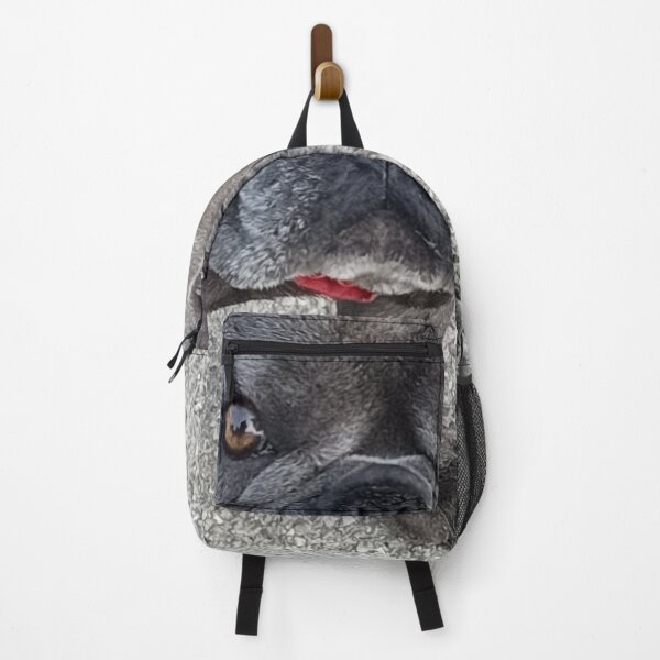 Item preview, Vet visit get well soon french bulldog designed and sold by vibeno1.