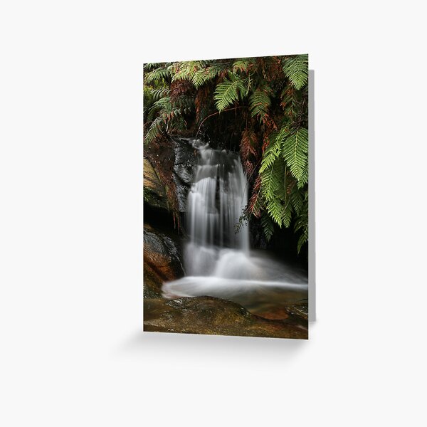Item preview, Leura Cascades - Blue Mountains, NSW designed and sold by Kim Roper.