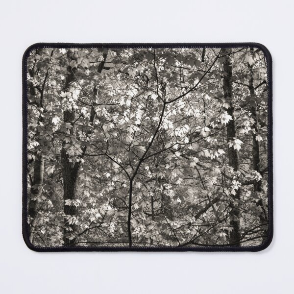 Item preview, Light Play designed and sold by Susan Nixon.