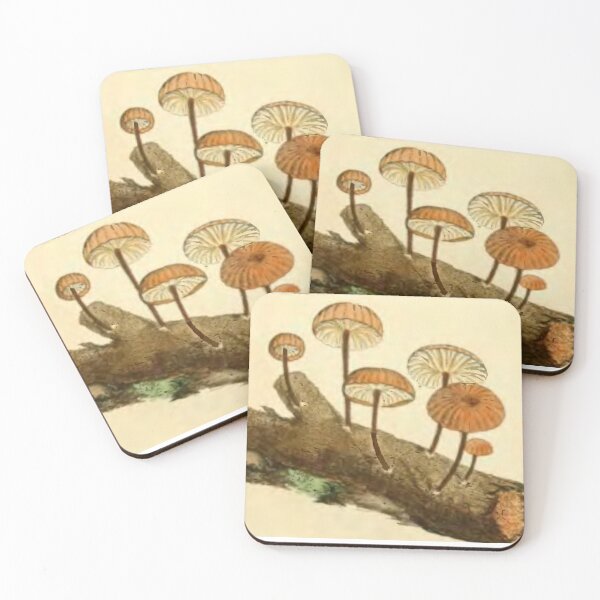 Item preview, Oldish Vintage Mushroom Montage Set #5 designed and sold by Krispsm.