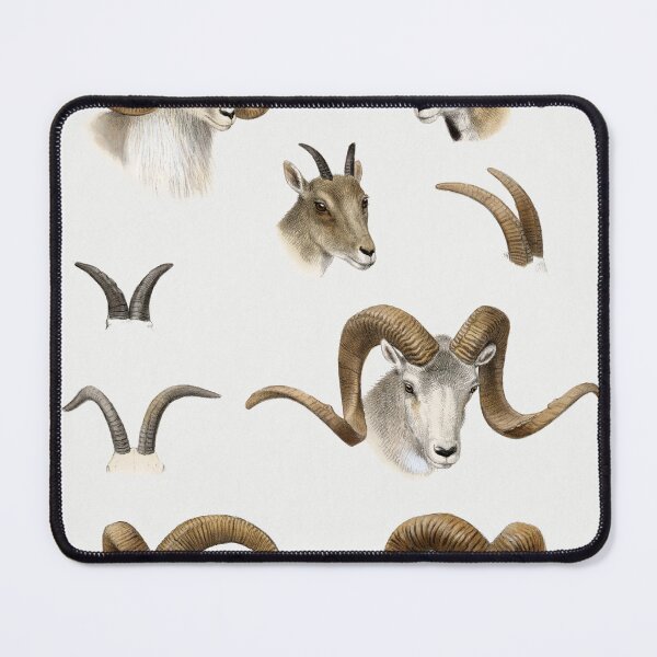 Item preview, Mountain Goat horns designed and sold by bigchungor.