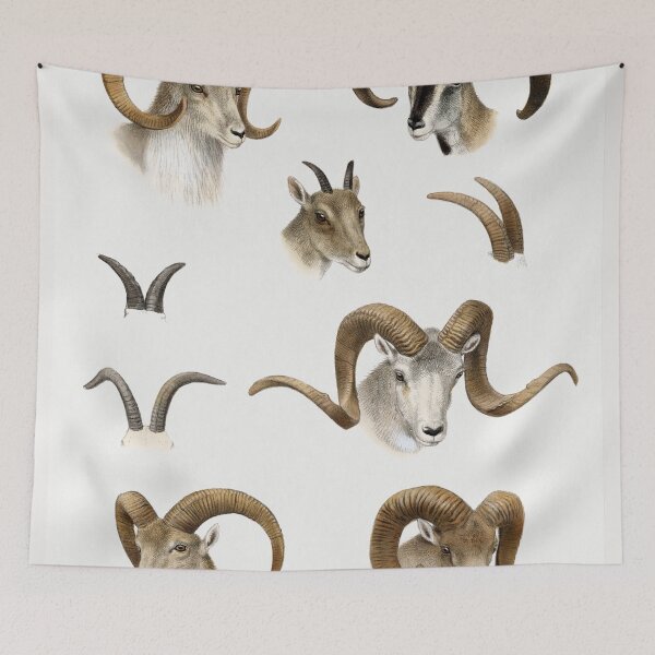 Item preview, Mountain Goat horns designed and sold by bigchungor.