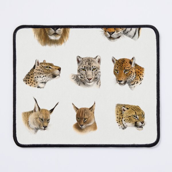 Item preview, Feline cats designed and sold by bigchungor.