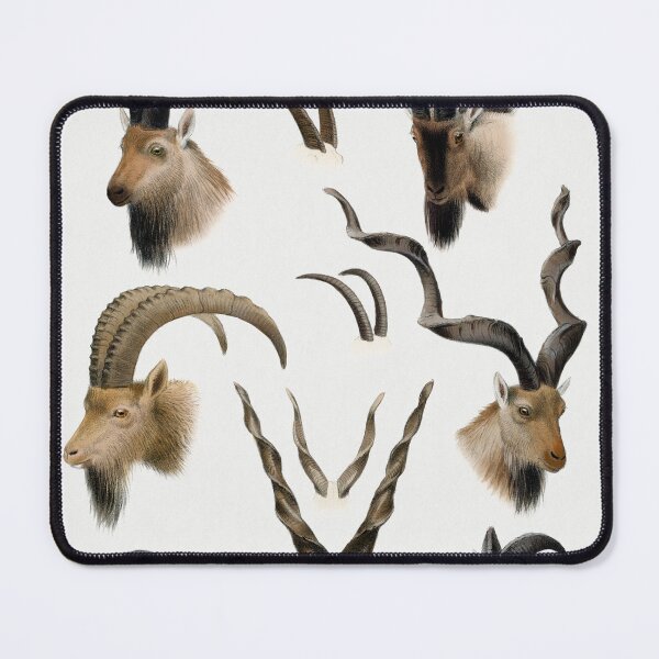 Item preview, mountain goats with beards designed and sold by bigchungor.
