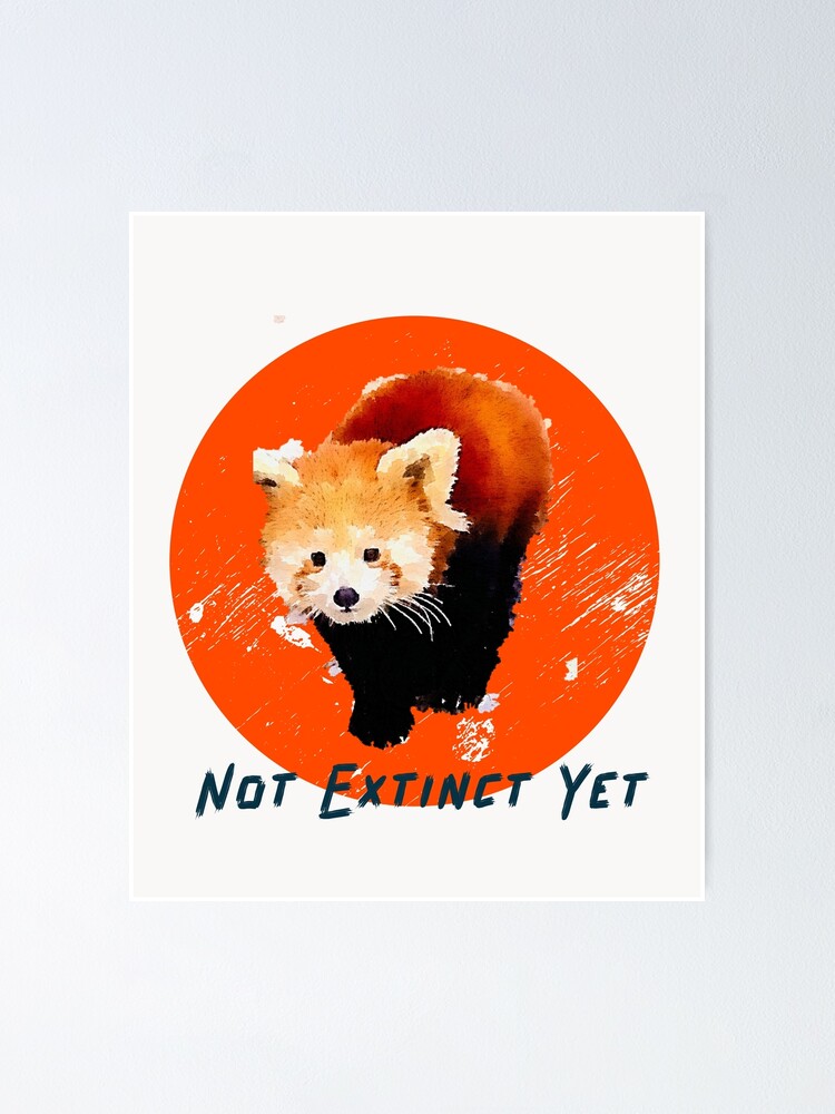 "Red Panda Not Extinct Yet... " Poster for Sale by BWBCCREATIONS Redbubble