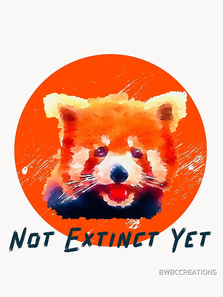 "Red Panda Not Extinct Yet... " Poster by BWBCCREATIONS Redbubble