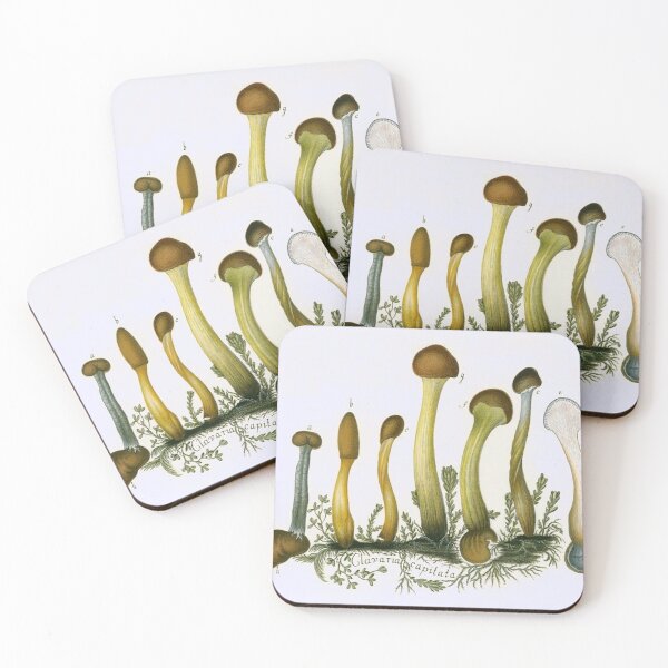 Item preview, Oldish Vintage Mushroom Montage Set #6 designed and sold by Krispsm.